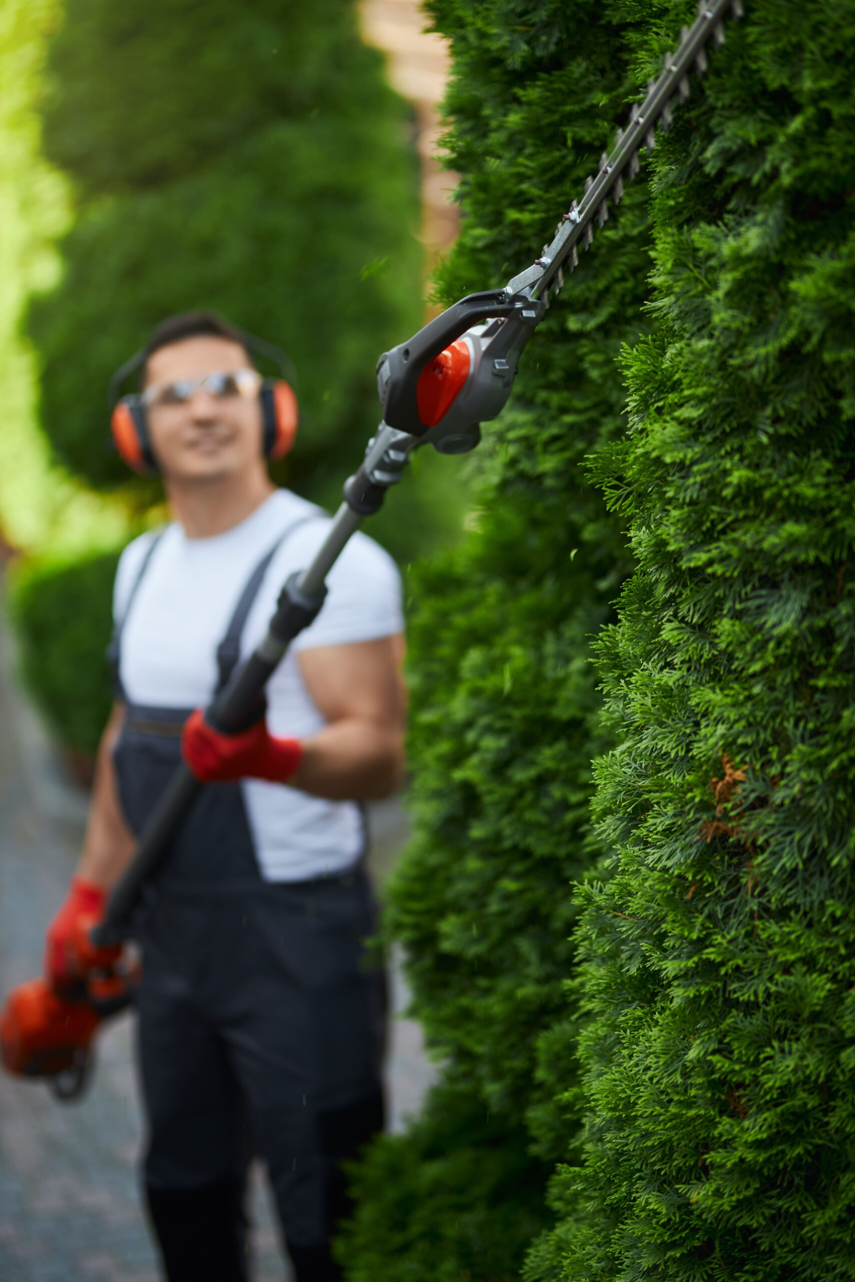 Common Area Maintenance