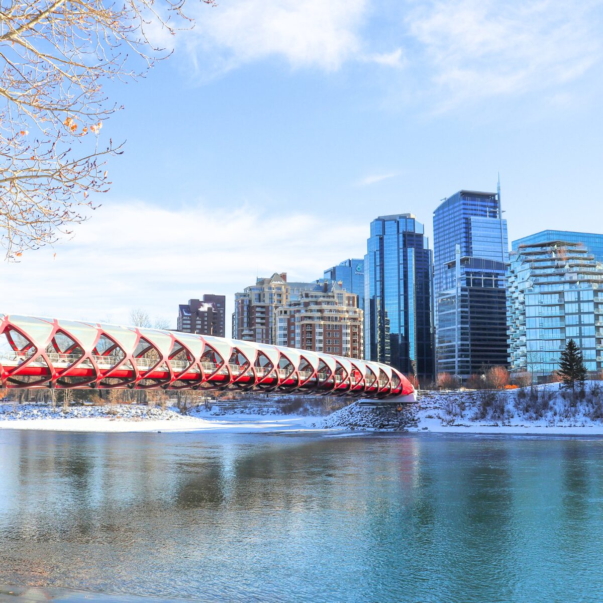 How Calgary's Chinooks Are Damaging Your Condo (And What To Do About It) 