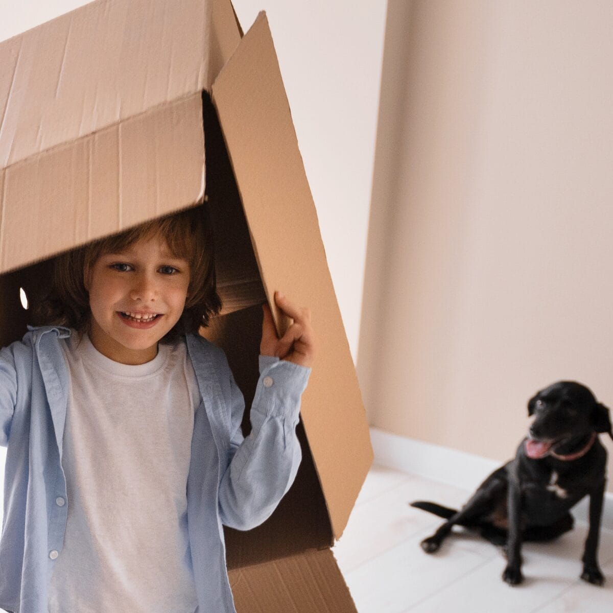 Moving Into a Condo in Alberta: What to Sort Out Before You Unpack  